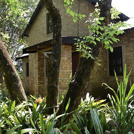 Molly'S Cottage Graskop Exterior photo